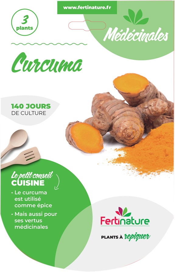 CURCUMA 2021