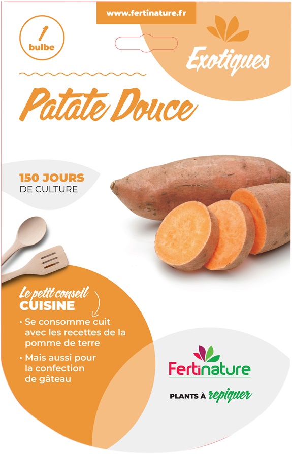 Chromo Patate douce 2021