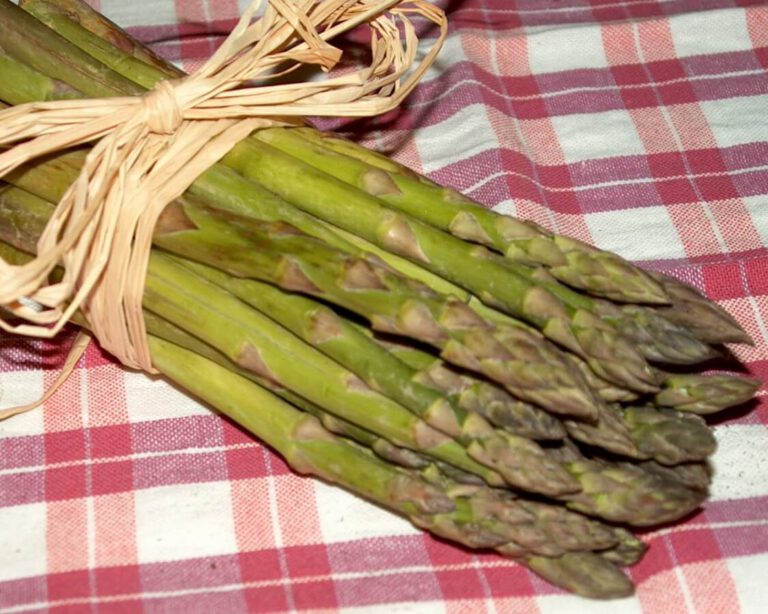 visuel-aspergeverte.jpg