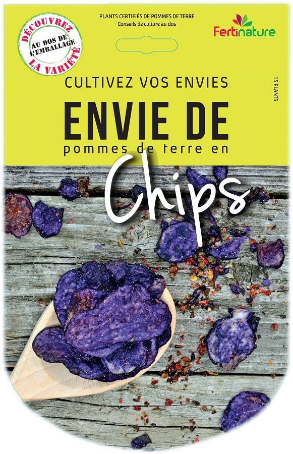 visuel-enviedechips