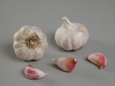 ail eden rose